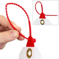 Don't Start Loop n Lock Danger Tie Tags